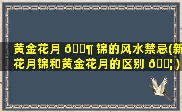 黄金花月 🐶 锦的风水禁忌(新花月锦和黄金花月的区别 🐦 )